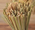 El plato de bambú de limpieza de 11,8 pulgadas friega la herramienta casera de la cocina del restaurante del cepillo